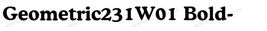 Geometric231W01 Bold字体转换